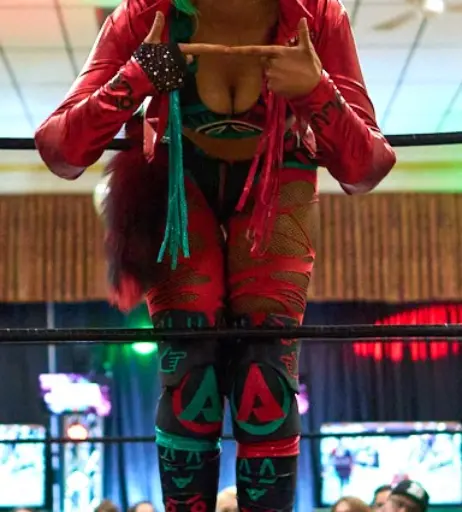 Image 23668268 from Women of Professional Wrestling
