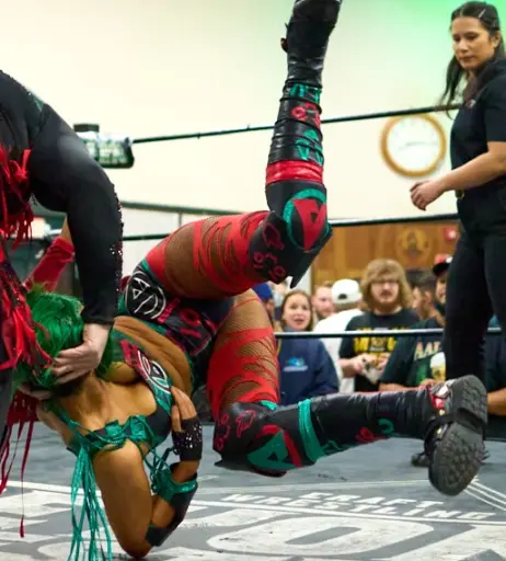 Image 23668273 from Women of Professional Wrestling