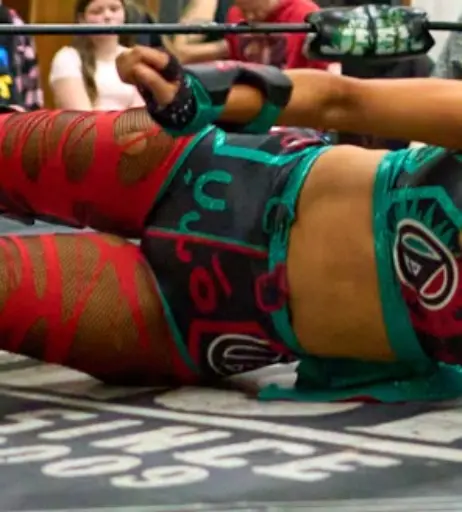 Image 23668271 from Women of Professional Wrestling