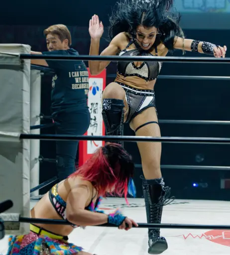 Image 23665923 from Women of Professional Wrestling