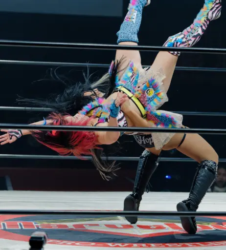 Image 23665922 from Women of Professional Wrestling
