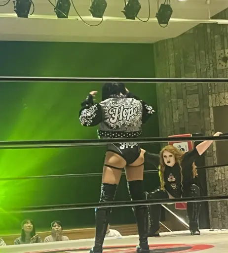 Image 23665912 from Women of Professional Wrestling
