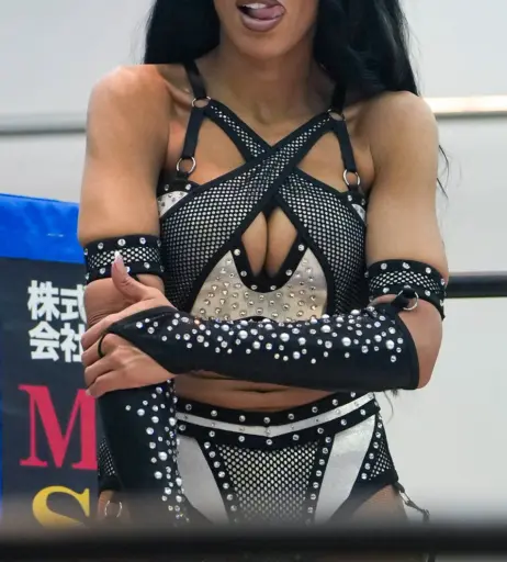 Image 23665910 from Women of Professional Wrestling