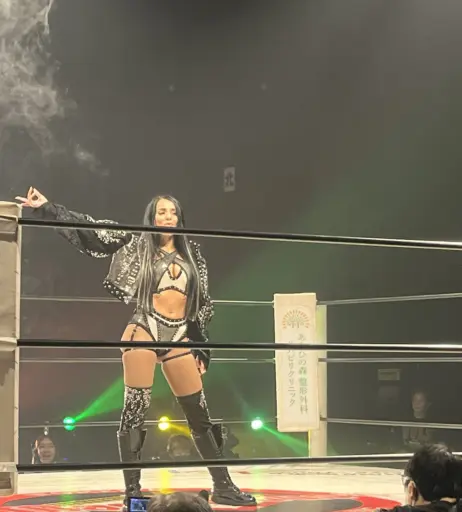 Image 23665916 from Women of Professional Wrestling