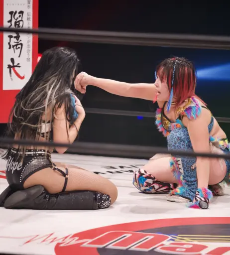 Image 23665919 from Women of Professional Wrestling