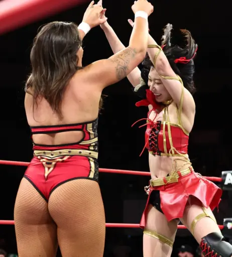 Image 23665939 from Women of Professional Wrestling