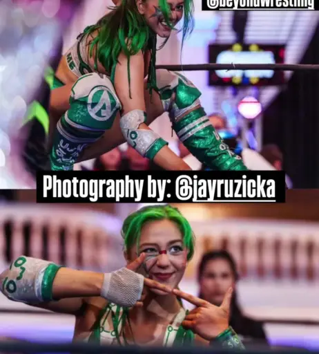 Image 23665811 from Women of Professional Wrestling