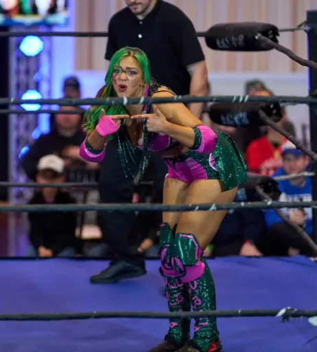 Image 23665810 from Women of Professional Wrestling