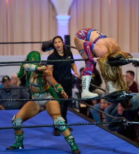 Image 23665808 from Women of Professional Wrestling