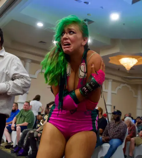 Image 23665582 from Women of Professional Wrestling