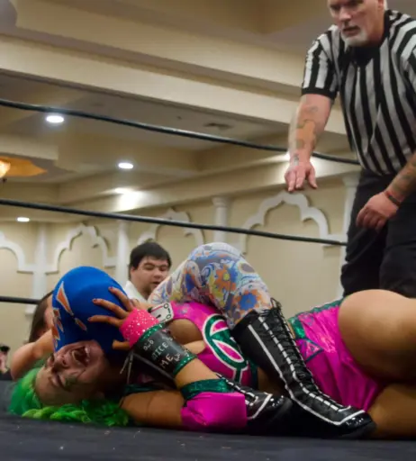 Image 23665586 from Women of Professional Wrestling