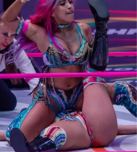 Image 23665529 from Women of Professional Wrestling