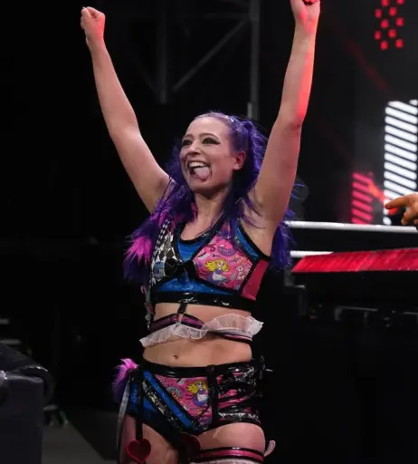 Image 23665536 from Women of Professional Wrestling
