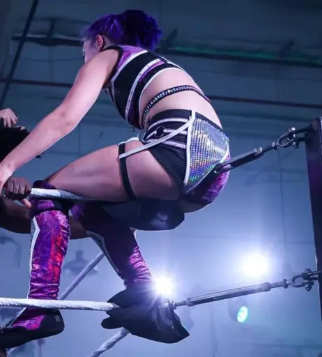 Image 23665427 from Women of Professional Wrestling