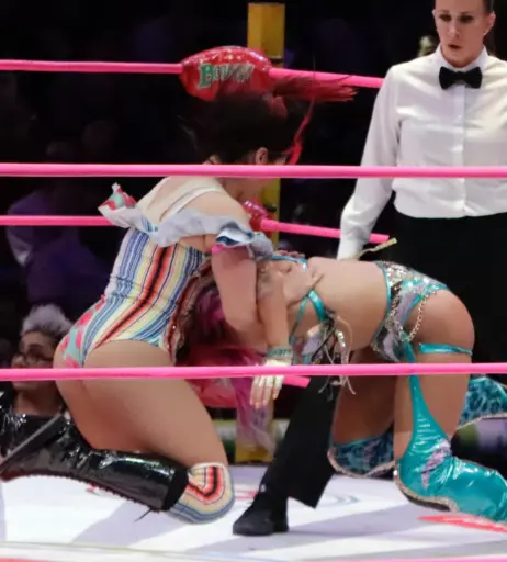 Image 23665439 from Women of Professional Wrestling