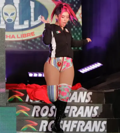 Image 23665440 from Women of Professional Wrestling