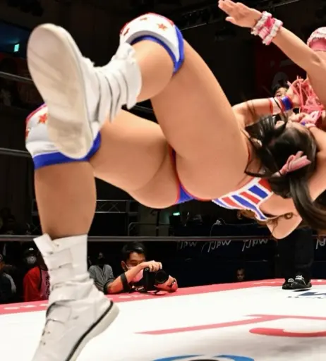 Image 23665755 from Women of Professional Wrestling