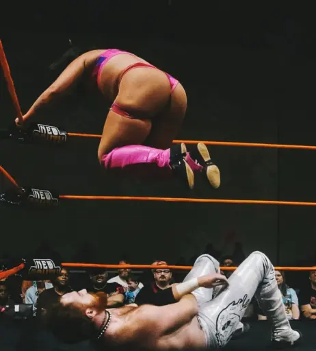 Image 23665775 from Women of Professional Wrestling