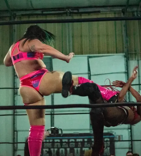 Image 23665778 from Women of Professional Wrestling