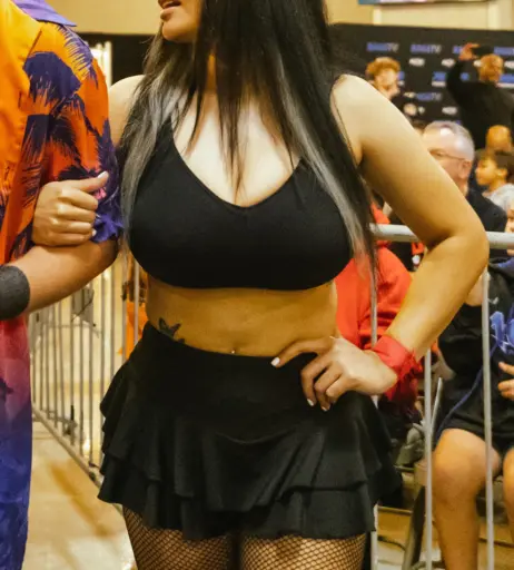 Image 23665623 from Women of Professional Wrestling