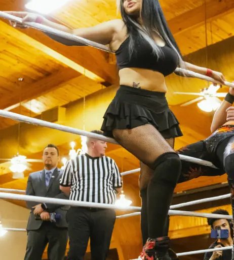 Image 23665622 from Women of Professional Wrestling