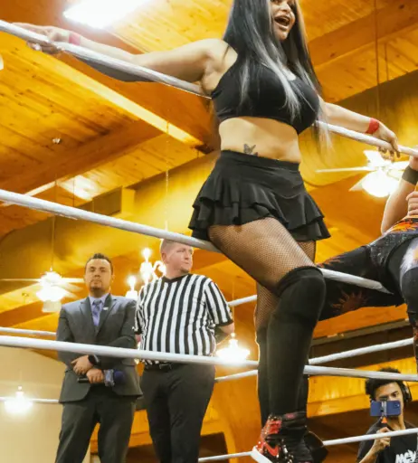 Image 23665621 from Women of Professional Wrestling
