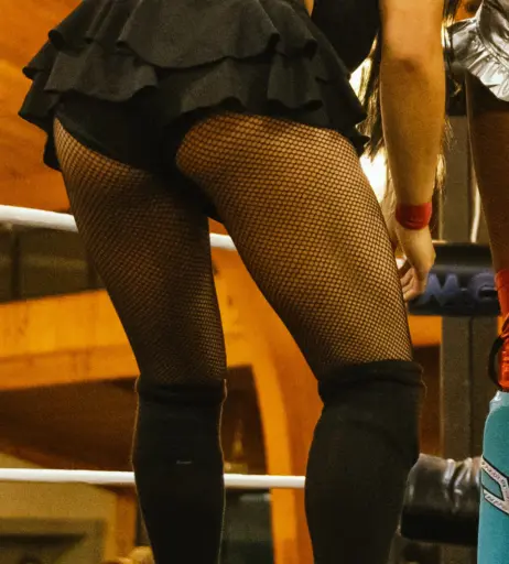 Image 23665617 from Women of Professional Wrestling
