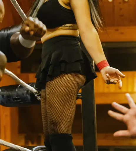 Image 23665619 from Women of Professional Wrestling