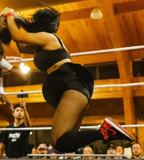 Image 23665618 from Women of Professional Wrestling