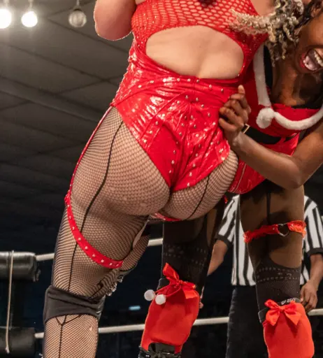 Image 23665607 from Women of Professional Wrestling