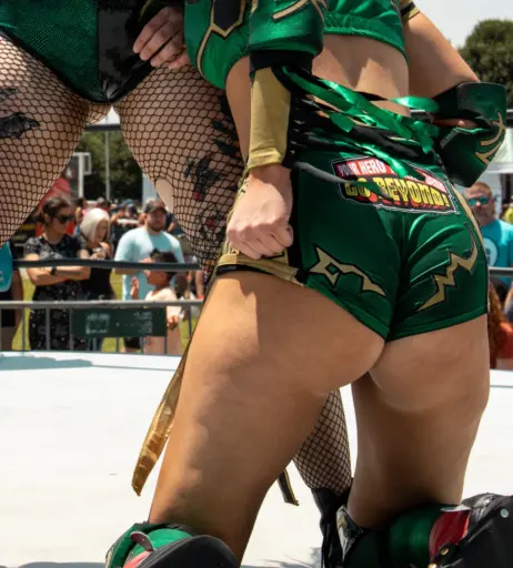 Image 23665608 from Women of Professional Wrestling