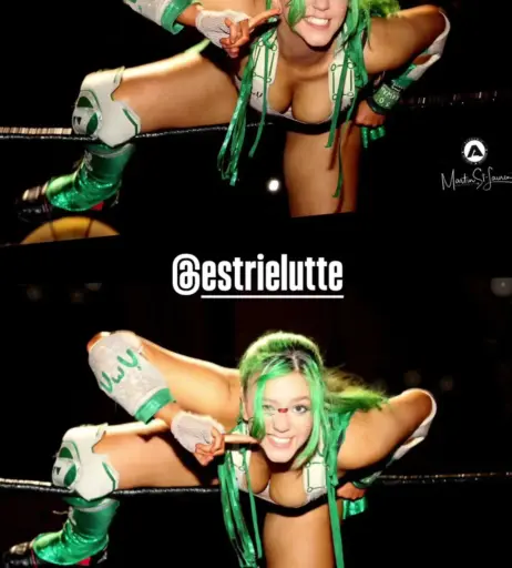 Image 23665646 from Women of Professional Wrestling