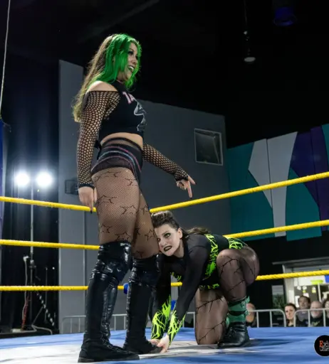Image 23665671 from Women of Professional Wrestling