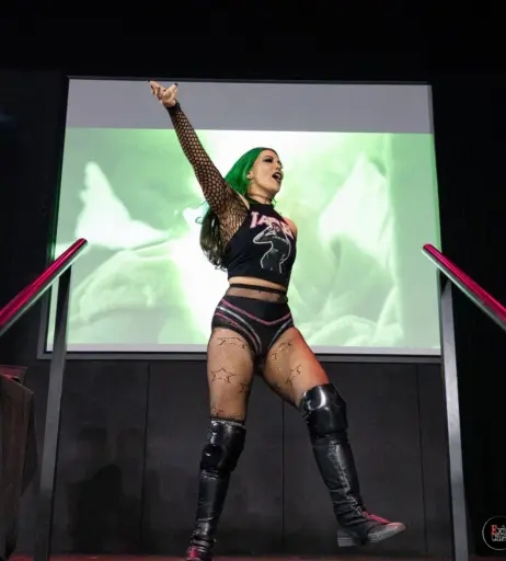 Image 23665675 from Women of Professional Wrestling