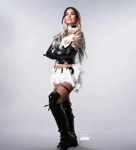 Image 23665679 from Women of Professional Wrestling