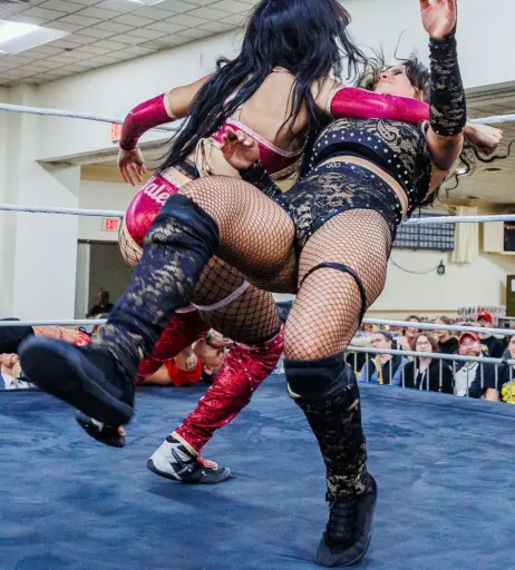 Image 23665196 from Women of Professional Wrestling