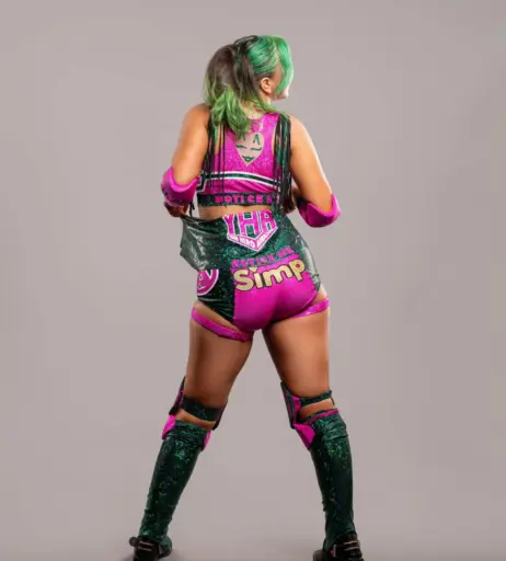Image 23665079 from Women of Professional Wrestling