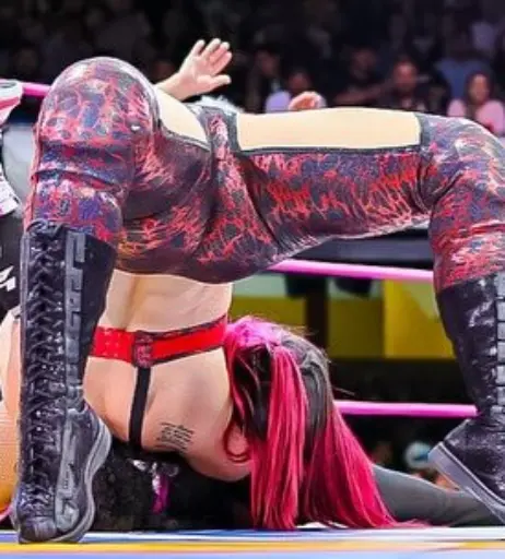 Image 23665327 from Women of Professional Wrestling