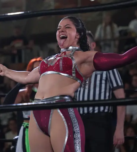 Image 23665339 from Women of Professional Wrestling