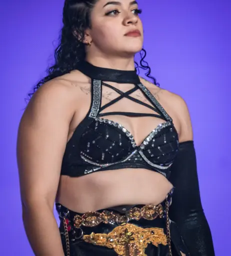 Image 23665348 from Women of Professional Wrestling