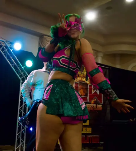 Image 23665223 from Women of Professional Wrestling