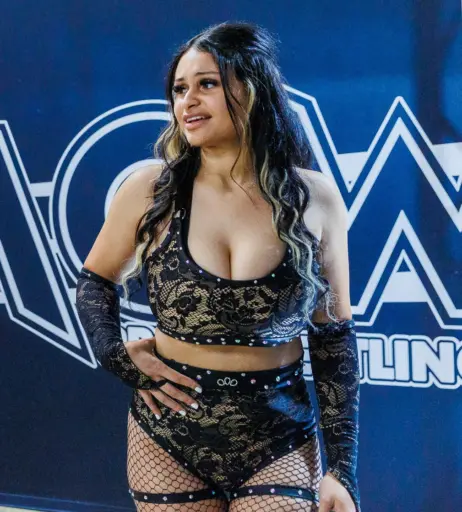 Image 23665211 from Women of Professional Wrestling