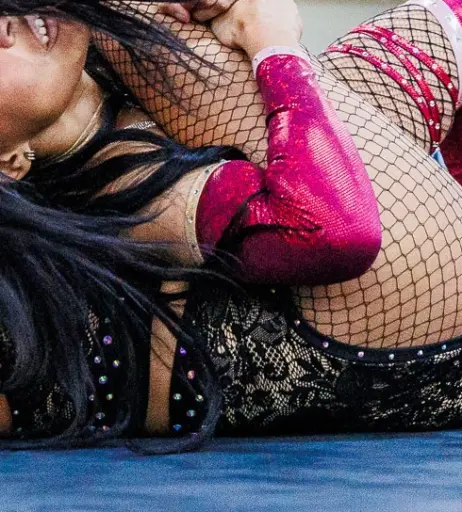 Image 23665210 from Women of Professional Wrestling