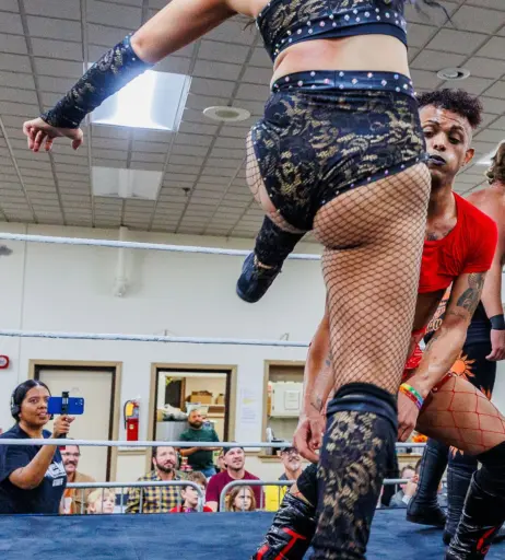 Image 23665200 from Women of Professional Wrestling