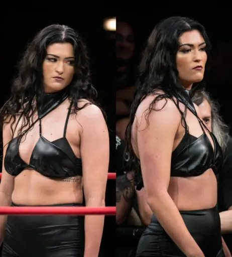 Image 23665257 from Women of Professional Wrestling