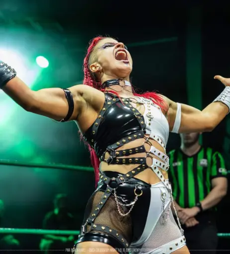 Image 23665273 from Women of Professional Wrestling