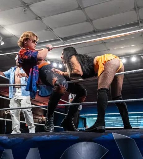 Image 23664995 from Women of Professional Wrestling