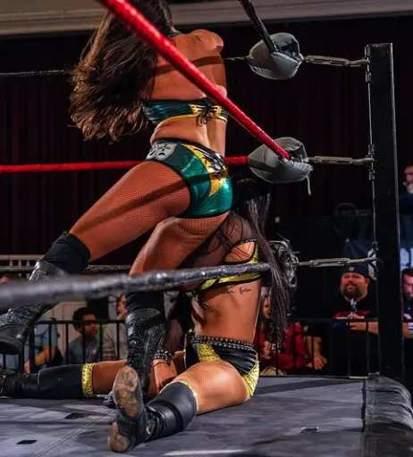 Image 23664920 from Women of Professional Wrestling