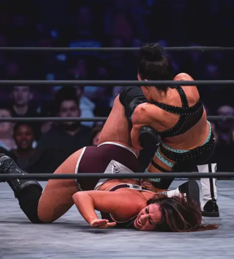 Image 23664941 from Women of Professional Wrestling