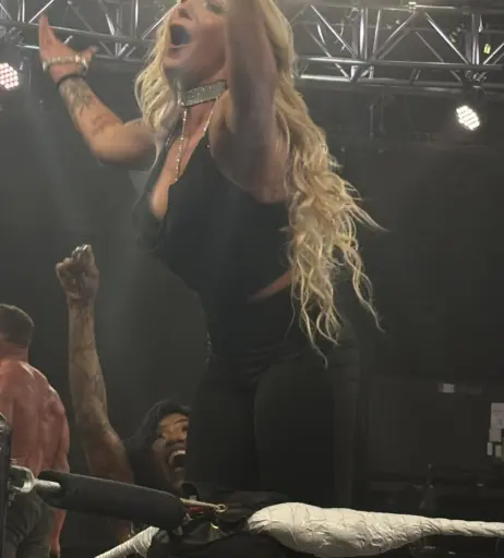 Image 23664855 from Women of Professional Wrestling